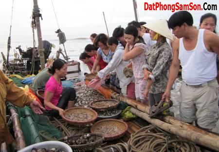 Kinh nghiệm mua hải sản tại Sầm Sơn