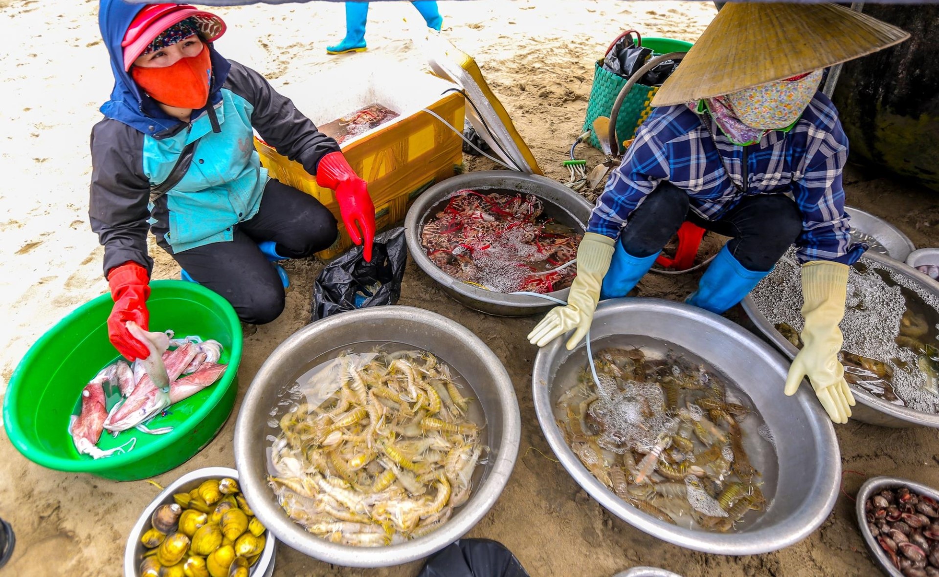 Địa chỉ chợ hải sản tươi ngon ở Sầm Sơn